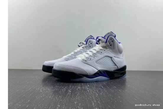 DD0587-141 Dark Jordan  Retro DD0587-141 Concord 5 0510